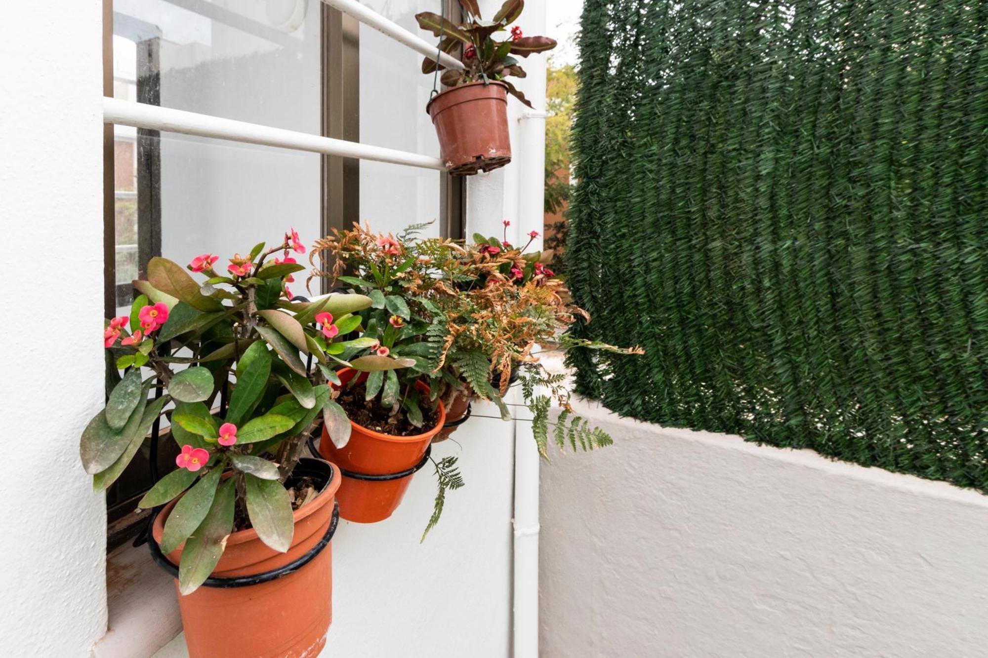 Apartament Little House In Center Almería Zewnętrze zdjęcie